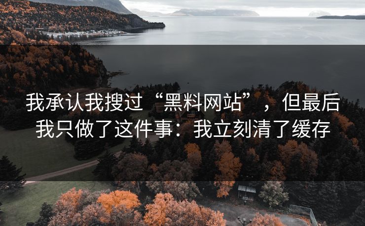 我承认我搜过“黑料网站”，但最后我只做了这件事：我立刻清了缓存