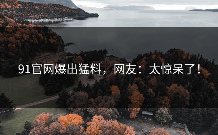 91官网爆出猛料，网友：太惊呆了！