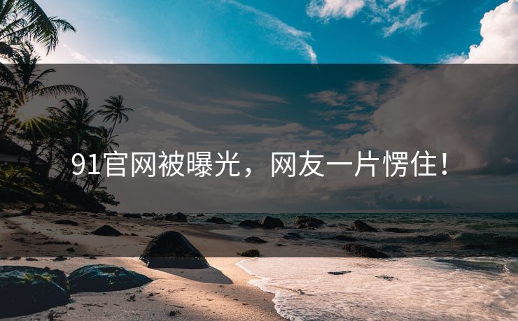 91官网被曝光，网友一片愣住！