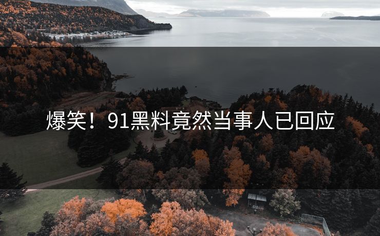 爆笑！91黑料竟然当事人已回应