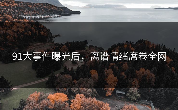 91大事件曝光后，离谱情绪席卷全网