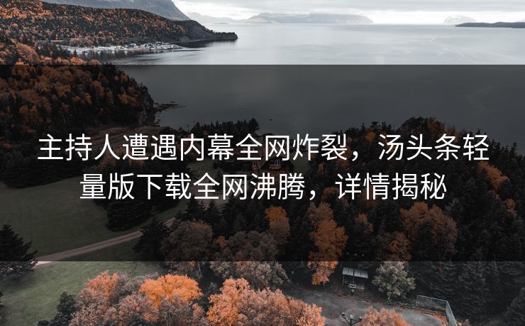 主持人遭遇内幕全网炸裂，汤头条轻量版下载全网沸腾，详情揭秘