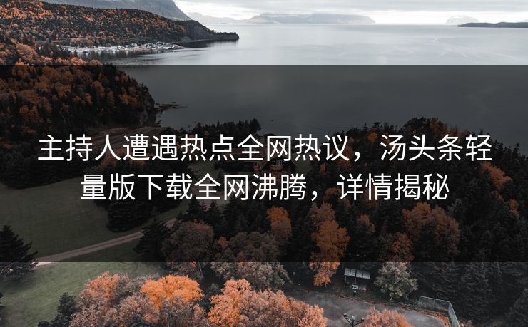 主持人遭遇热点全网热议，汤头条轻量版下载全网沸腾，详情揭秘