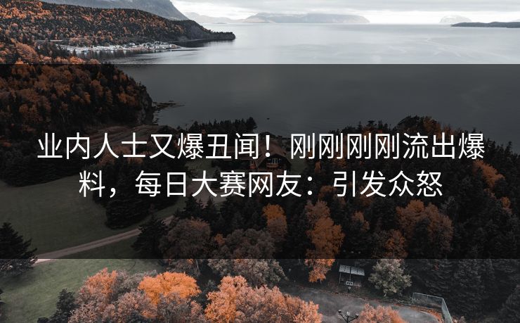 业内人士又爆丑闻！刚刚刚刚流出爆料，每日大赛网友：引发众怒