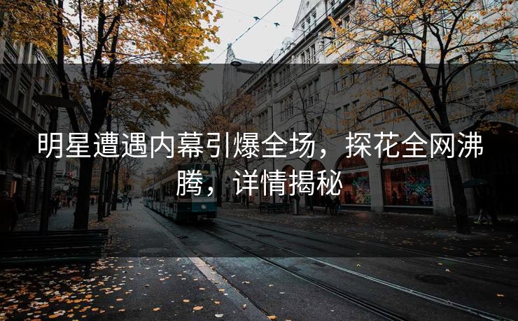 明星遭遇内幕引爆全场，探花全网沸腾，详情揭秘