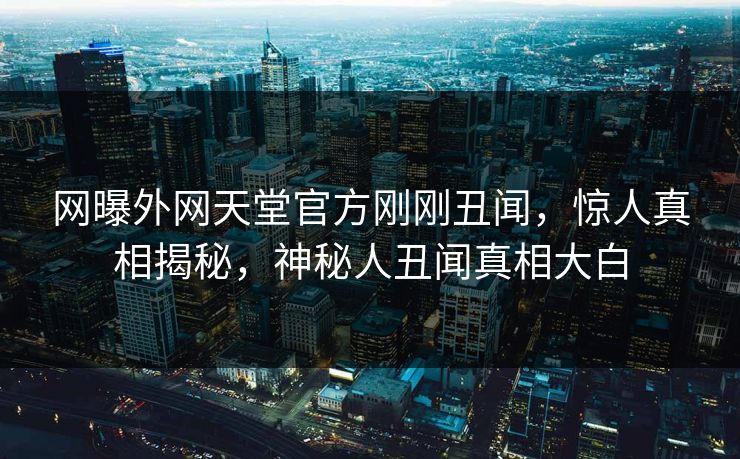 网曝外网天堂官方刚刚丑闻，惊人真相揭秘，神秘人丑闻真相大白