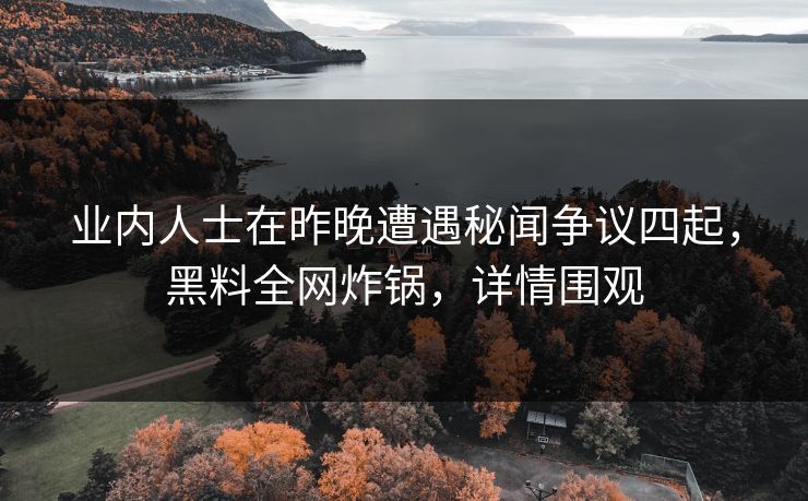 业内人士在昨晚遭遇秘闻争议四起，黑料全网炸锅，详情围观